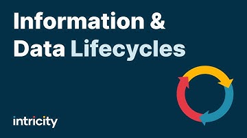 Information and Data Lifecycles