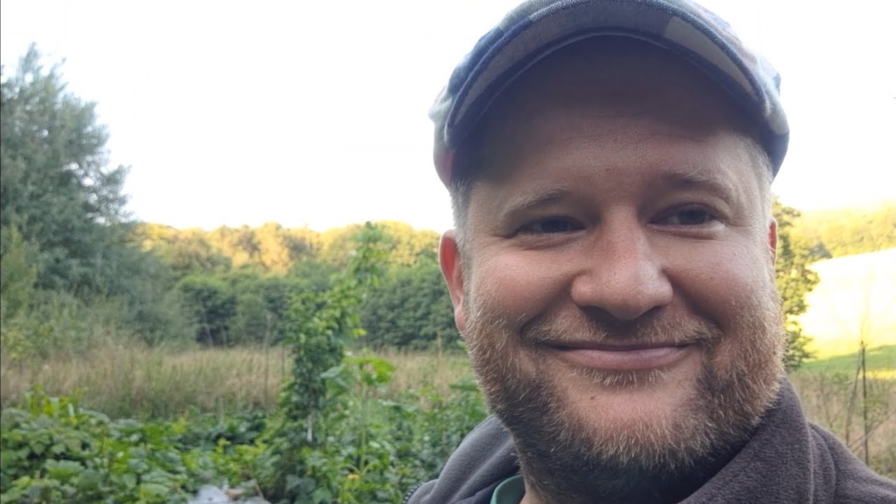 Garden update paths, mulch, growth YouTube