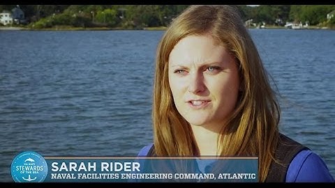 U.S. Navy Marine Mammal Observers