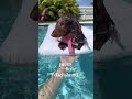 Was this song worth the $30 I paid Ai to make?
