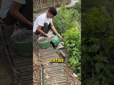 يحاول أن يجعل كل شيء أفضل لكن هذه المرة أخطأ في كل شيء
