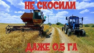 Не скосили даже 0,5 га