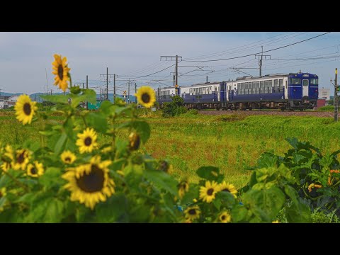 【新潟遠征鉄道PV】全力少年