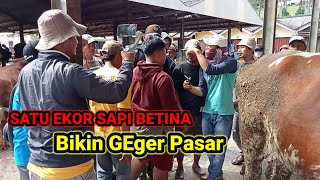 GEGER GEDEN NEGO PANAS DI PASAR BAWA SAPI JADI REBUTAN