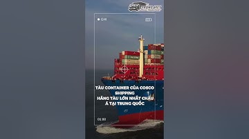 Tàu Container của COSCO SHIPPING là hãng tàu lớn nhất Châu Á tại Trung Quốc 🛳🛳