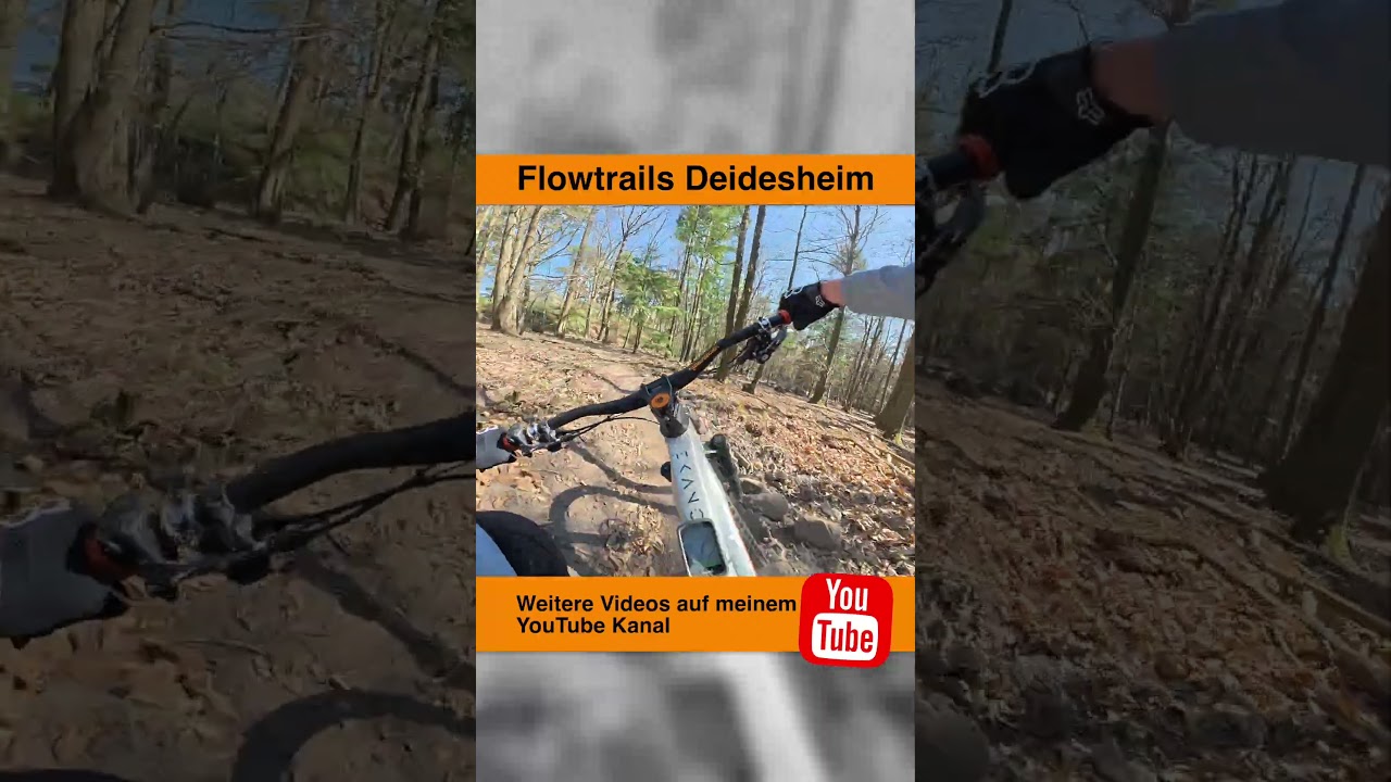 Naturtrails Deidesheim - Pechstein 