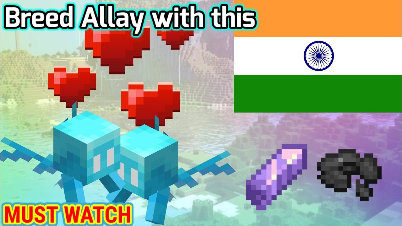 How to breed allays in Minecraft | Minecraft Hindi - YouTube