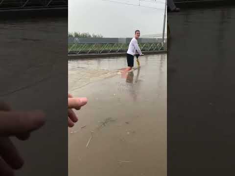 Самый надежный вид транспорта для поездок по дождливому Краснодару