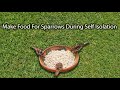 Make bird food for sparrows during self isolation | moineaux | oiseaux | Cool Birds Official