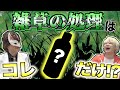 シーズン前になんとかしたい! 雑草の処理 ちゃんと使えば安全な除草剤の解説