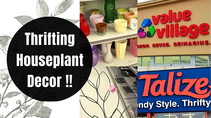 Thrift Shopping for Plant Decor | Houseplant Styling Ideas | DIY Indoor Plant Decorating on a Budget