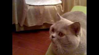 Это не монтаж! Отгадай, куда смотрит Тимофей? Это не монтаж! Отгадай, куда смотрит Тимофей?