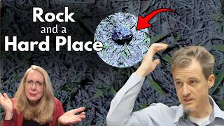 Will This Rock Decide a Murder Case? (Gerhardt Konig, Hawaiian Doctor) Profile