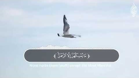 ارح مسمعك قرآن كريم صوت جميل _ اجر لي ولك