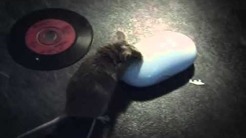 Deadmau5 -  Some Chords Music Video