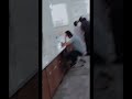 Chill Mahool During Organic Lab😎 | Old Video