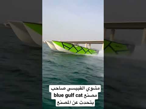 مشوي القبيسي يتحدث عن مصنع   