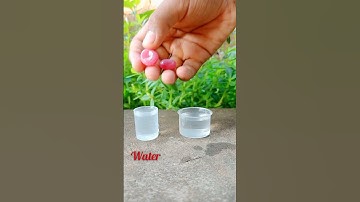 poppins experiment # M4 ARO TECH# experiment # fishing freaks # M4 tech # shorts # 😯