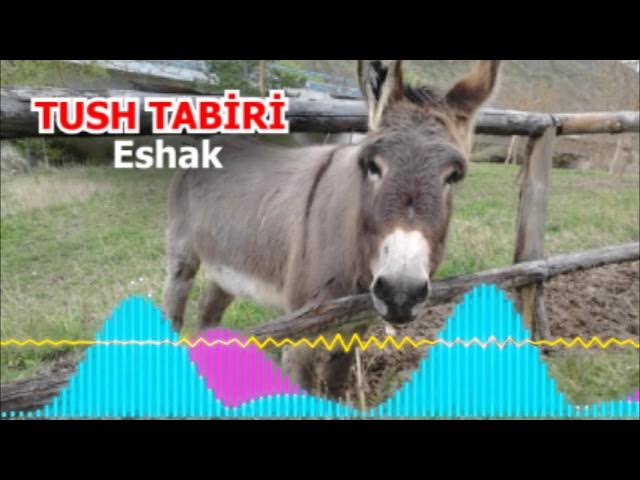 Onlayn porno: bokira va qora tanli erkak