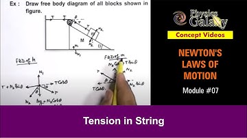 Class 11 Physics | Newton