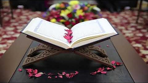 تلاوة مميزة ♥ قال سنشد عضدك بآخيك ونجعل لكم سلطانا