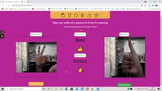 Celebrity Hand Gesture Identification Website Net Worth