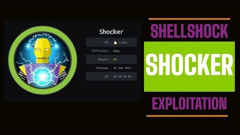 The ShellShock Vulnerability Explained | CTF Walkthrough