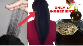 ONLY 1 Ingredient, Use it everyday to regrow thinning hair &amp; prevent  breakage. Better than Cloves.