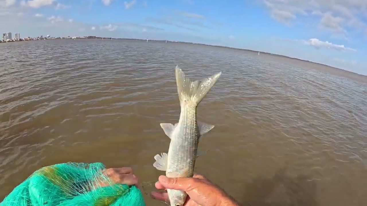 RIO TRAMANDAÍ sempre rende um bom FRITO !!!!