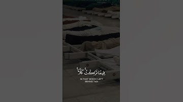 تلاوة هادئة مريحة "وقل رب أعوذ بك من همزات الشياطين" #تلاوات_خاشعة