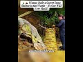 Woman Built a Secret Dome Shelter in the Woods- No One Will Ever Find It #Bushcraft #foryoupage