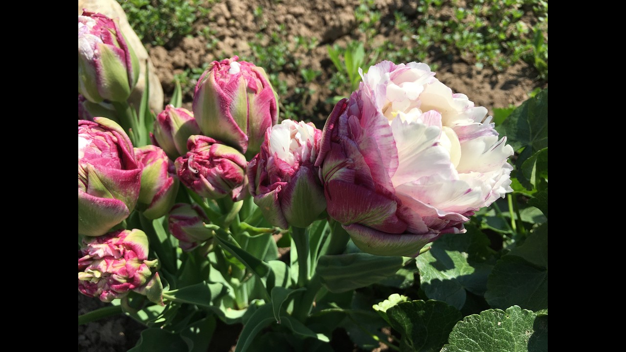 ОТВЕЧАЮ НА КОММЕНТАРИИ / НЕ СПЕШИТЕ ПИСАТЬ / ОБЗОР СТЕЛЛАЖЕЙ