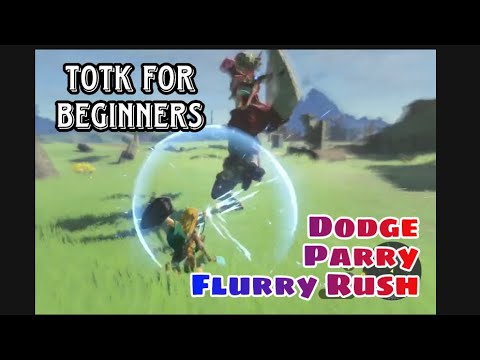 Combat Basics for Beginners (Legend of Zelda: Tears of the Kingdom)