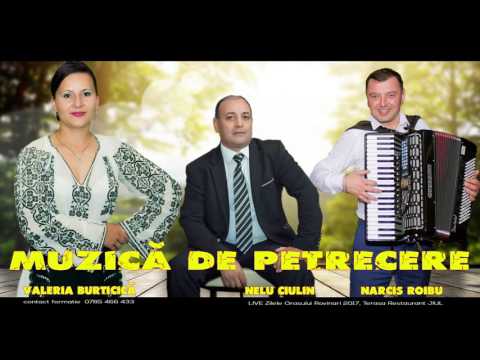 Valeria Burticica, Narcis si Nelu | Am suflet bun si nu-i bine | Muzica de Petrecere | HITURI