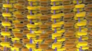 Peptidoglycan Animation Profile