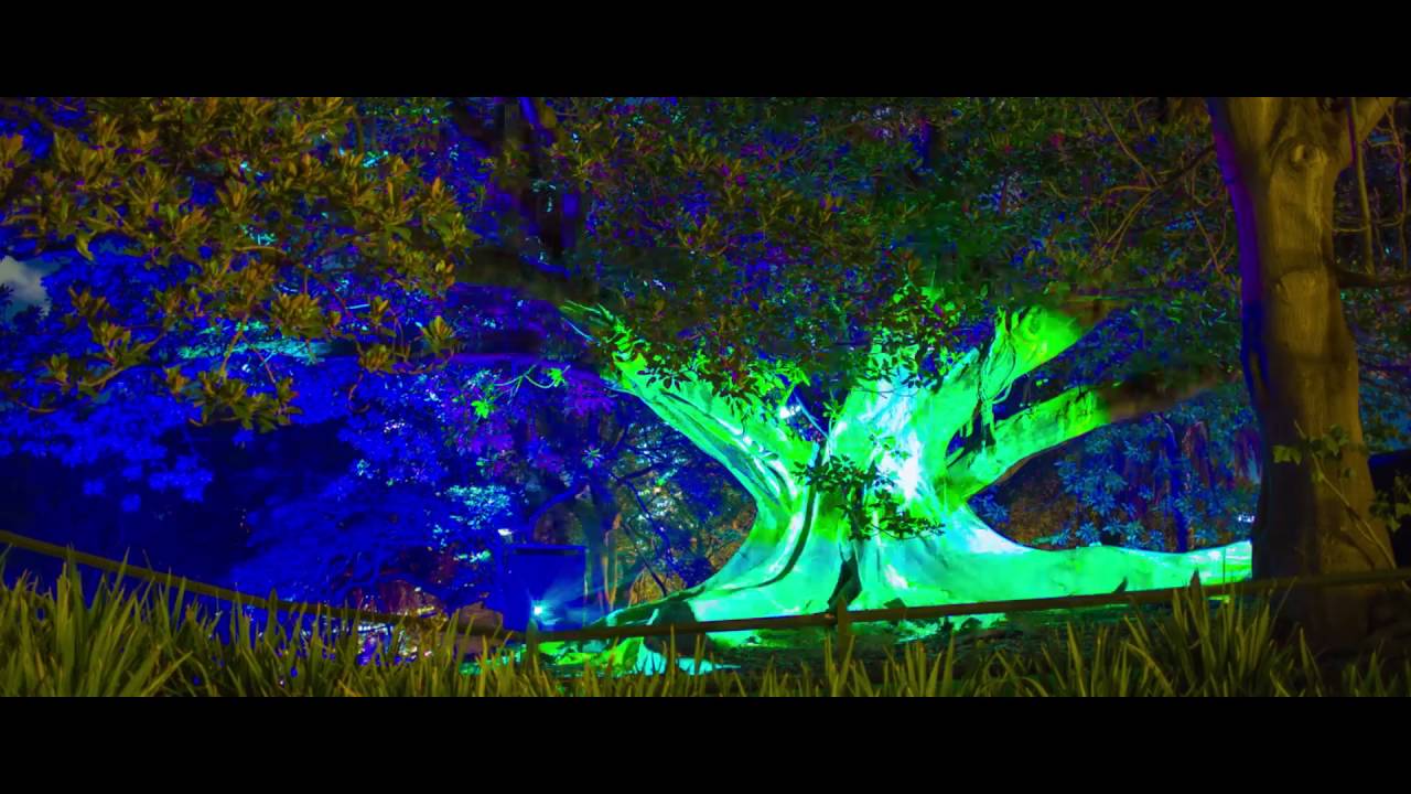 Behind the scenes at Vivid Sydney 2016 with TDC - Technical Direction Company