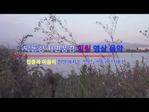 낙동강 자연풍경 힐링 영상 음악