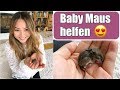 Eine Baby Maus in unserem Haus 😳 Reaktion der Kinder | Retten Füttern Aufziehen | VLOG | Mamiseelen