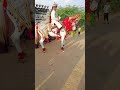  shaadi mein kiya ghodi ne khulkar dance