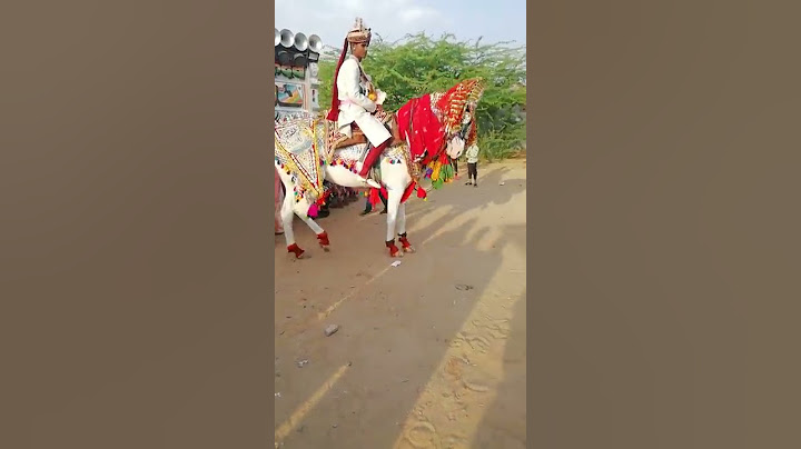 # Shaadi mein kiya Ghodi Ne khulkar dance