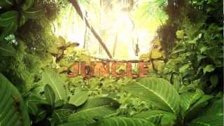 Video Copilot Jungle Tutorial (Download)