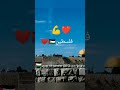 أبطالك يا فلسطين رفعوا راسك بالعالي الله معك يا فلسطين 