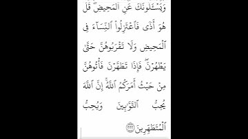 سوره مبارکه بقره ادامه آیه ۲۲۲بامعنی گویا گوارای وجودتان #قرآن #قران_كريم #قران #قرآن_كريم #youtube