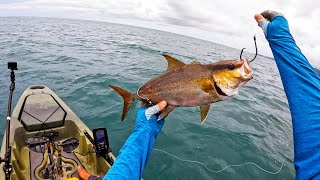 INSANE Jig Bite while Deep Sea Kayak Fishing