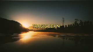 Jack Stauber - Tragic Bean (sub español/lyrics)