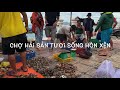 Chợ hải sản tươi sống giá rẻ: Hòn Xện - Fresh seafood market