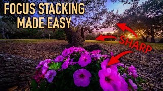 Secret Landscape Editing Tricks: Focus Stacking and Dodge & Burn!