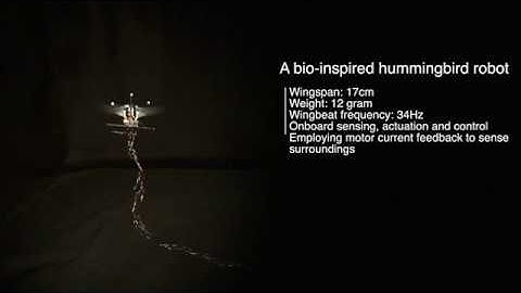 Acting Is Seeing: Navigating Tight Space Using Flapping Wings