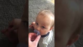 Object permanence experiment part 2