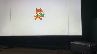 Scratch Cat Vomiting